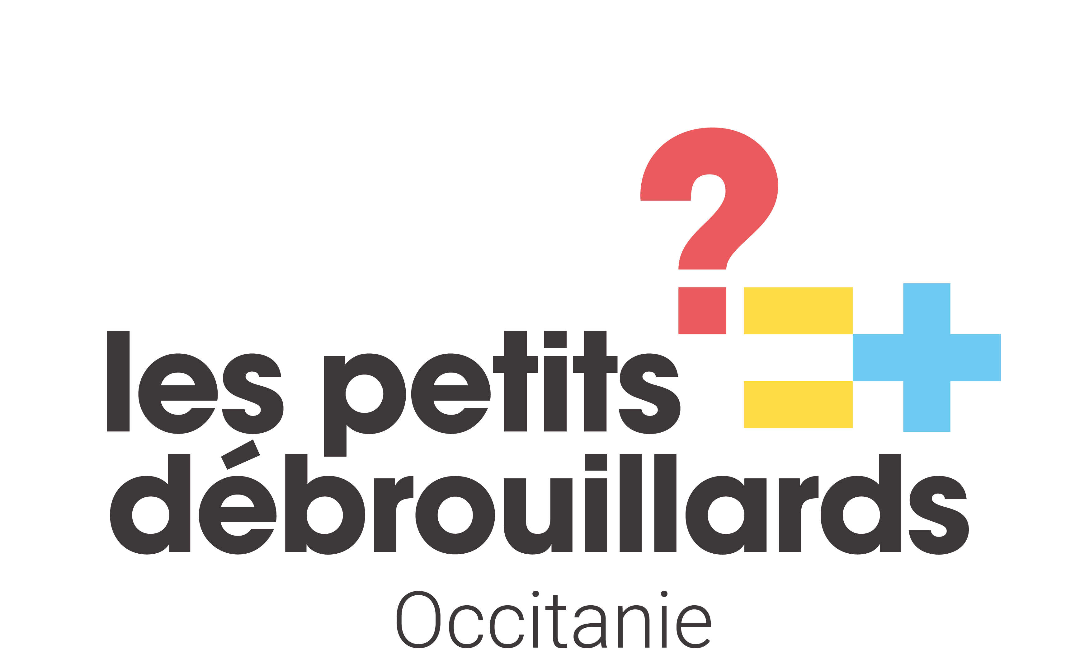 Les petits debrouillards